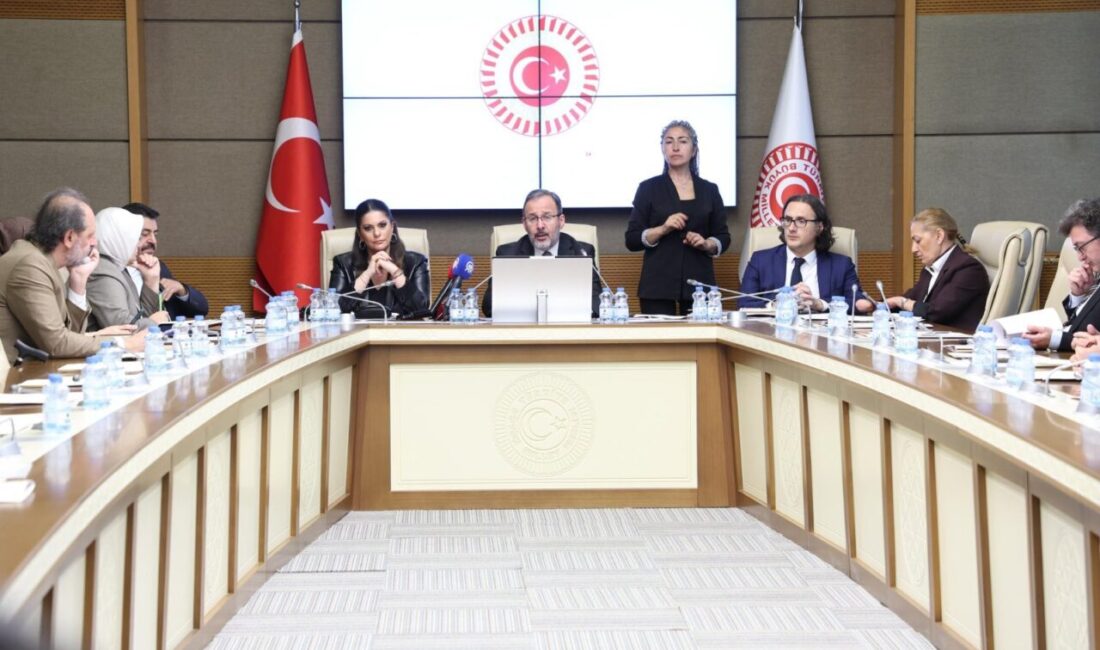 Aliekber METE/ ANKARA, – TBMM Engelli Bireylerin Sorunlarını Araştırma Komisyonu