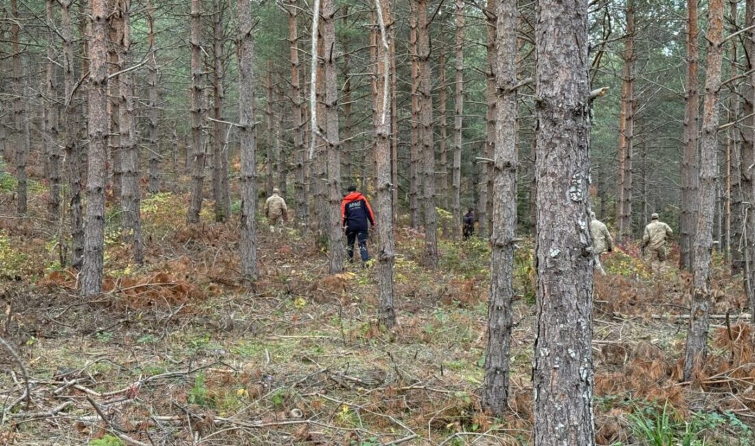 Ayşenur DEMİRTAŞ GÜL- Muhammet BAYRAM/ ANKARA, – KASTAMONU’nun Bozkurt ilçesinde
