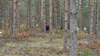 Ayşenur DEMİRTAŞ GÜL- Muhammet BAYRAM/ ANKARA, – KASTAMONU’nun Bozkurt ilçesinde