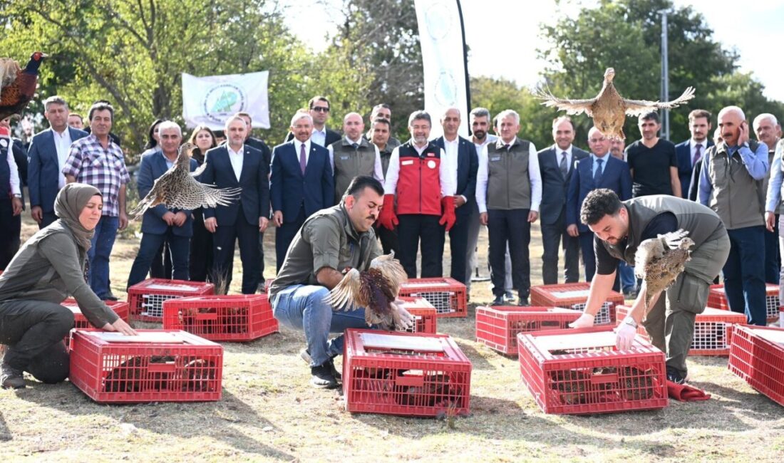 Gizem CENGİL-Emirhan YÜZÜGÜLDÜ /ANKARA, – DOĞA Koruma ve Milli Parklar