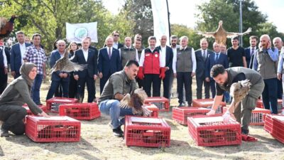 Gizem CENGİL-Emirhan YÜZÜGÜLDÜ /ANKARA, – DOĞA Koruma ve Milli Parklar