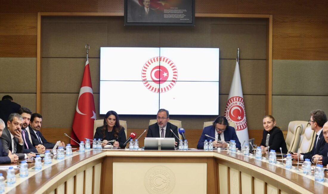 Aliekber METE/ ANKARA, – TBMM Engellilerin Sorunlarını Araştırma Komisyonu Başkanı