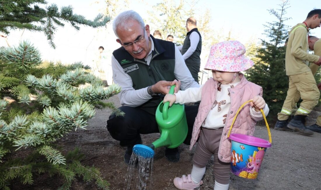 ANKARA, – ORMAN Genel Müdürü Bekir Karacabey, 11 Kasım Milli