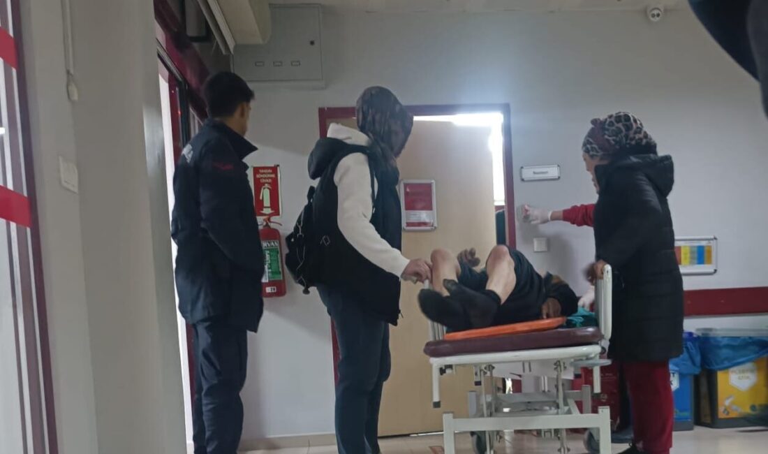 Hasan OLUM/ NALLIHAN(Ankara), – ANKARA’nın Nallıhan ilçesinde mantar toplamak için