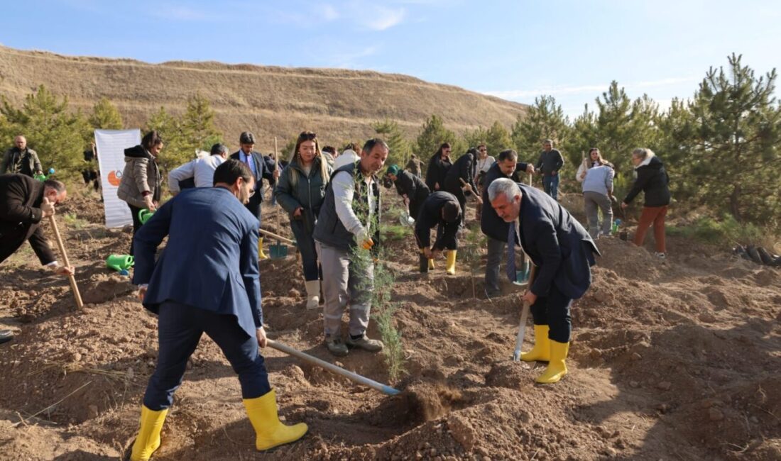 Ayşenur DEMİRTAŞ GÜL/ANKARA, – ÖLÇME, Seçme ve Yerleştirme Merkezi’nin (ÖSYM)