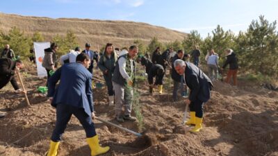 Ayşenur DEMİRTAŞ GÜL/ANKARA, – ÖLÇME, Seçme ve Yerleştirme Merkezi’nin (ÖSYM)