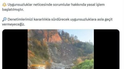 ANKARA, – ARTVİN Sarp Sınır Kapısı’nda yapılan denetimlerde; Mersin’den Gürcistan’a