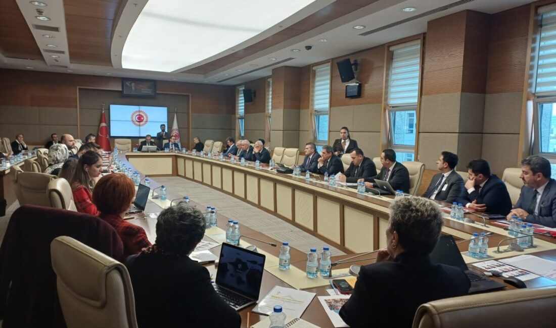 Aliekber METE/ ANKARA, – TBMM Engelli Bireylerin Sorunlarını Araştırma Komisyonu’nda