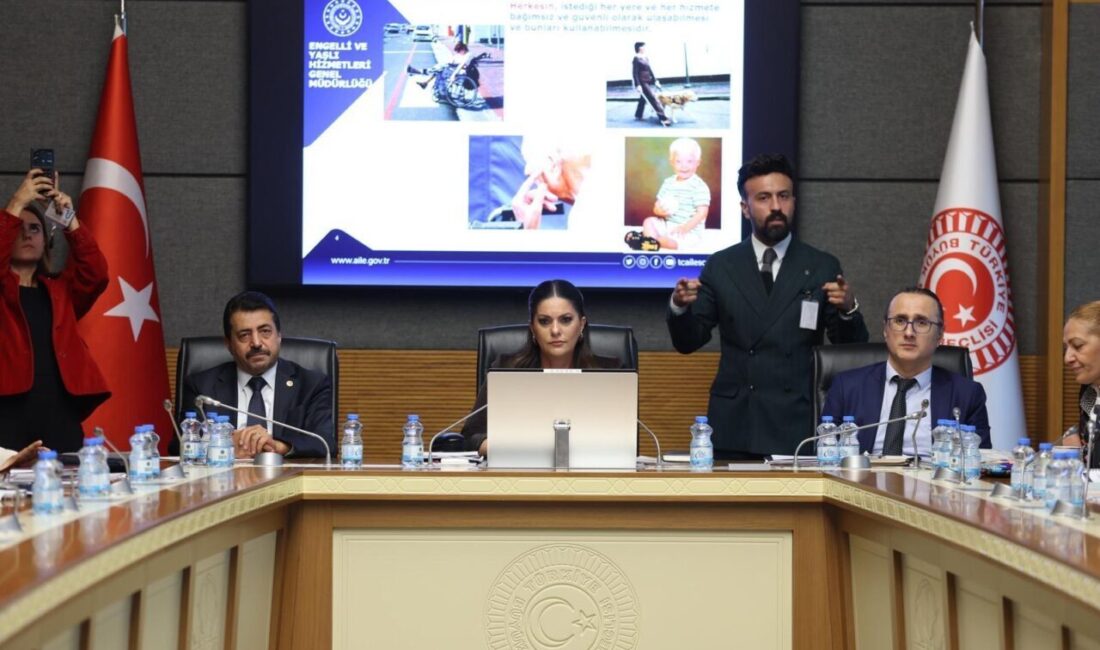 Aliekber METE/ ANKARA, – TBMM Engelli Bireylerin Sorunlarını Araştırma Komisyonu’nda