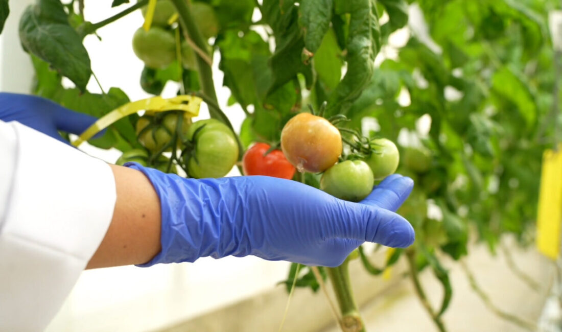 Mikail KARAMAN/ANKARA, – ENERJİ ve Tabii Kaynaklar Bakanlığı’na bağlı Türkiye