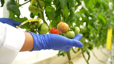 Mikail KARAMAN/ANKARA, – ENERJİ ve Tabii Kaynaklar Bakanlığı’na bağlı Türkiye