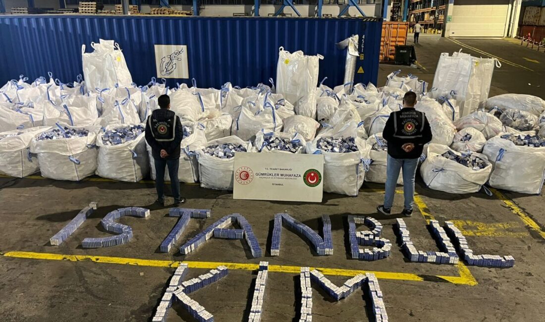 ANKARA, – TİCARET Bakanlığı, Gümrükler Muhafaza ekiplerinin, Ambarlı Gümrük Limanı’nda