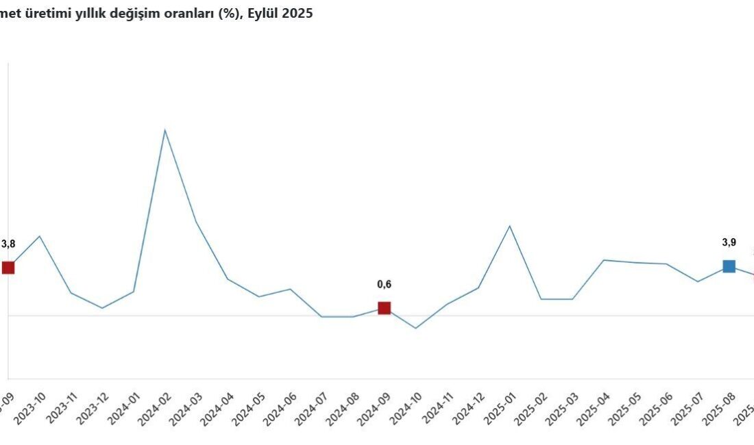 ANKARA, – TÜRKİYE İstatistik Kurumu (TÜİK), eylül ayında hizmet üretiminin