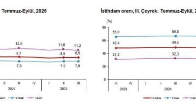 ANKARA, – TÜRKİYE İstatistik Kurumu (TÜİK), işsizlik oranının 2025 yılı