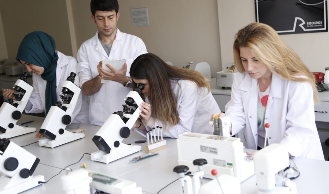 ANKARA, – YÜKSEKÖĞRETİM Kurulu (YÖK), Türkiye’de örgün öğretim, açık ve