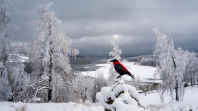 19 Aralık 2025 tarihinde Türkiye, diplomasi ve spor gündeminin yanı