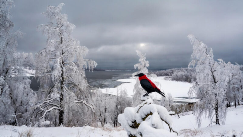 19 Aralık 2025 tarihinde Türkiye, diplomasi ve spor gündeminin yanı