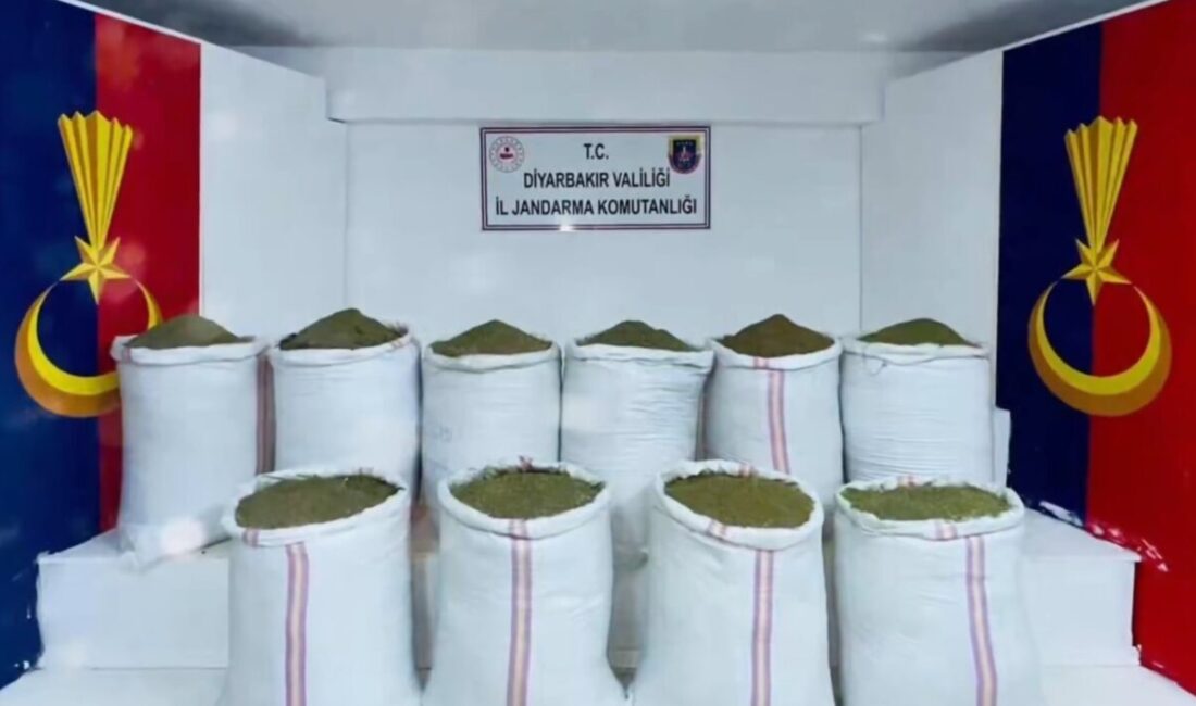 Kadircan GÜLER/ANKARA, -İÇİŞLERİ Bakanı Ali Yerlikaya, 29 ilde düzenlenen uyuşturucu