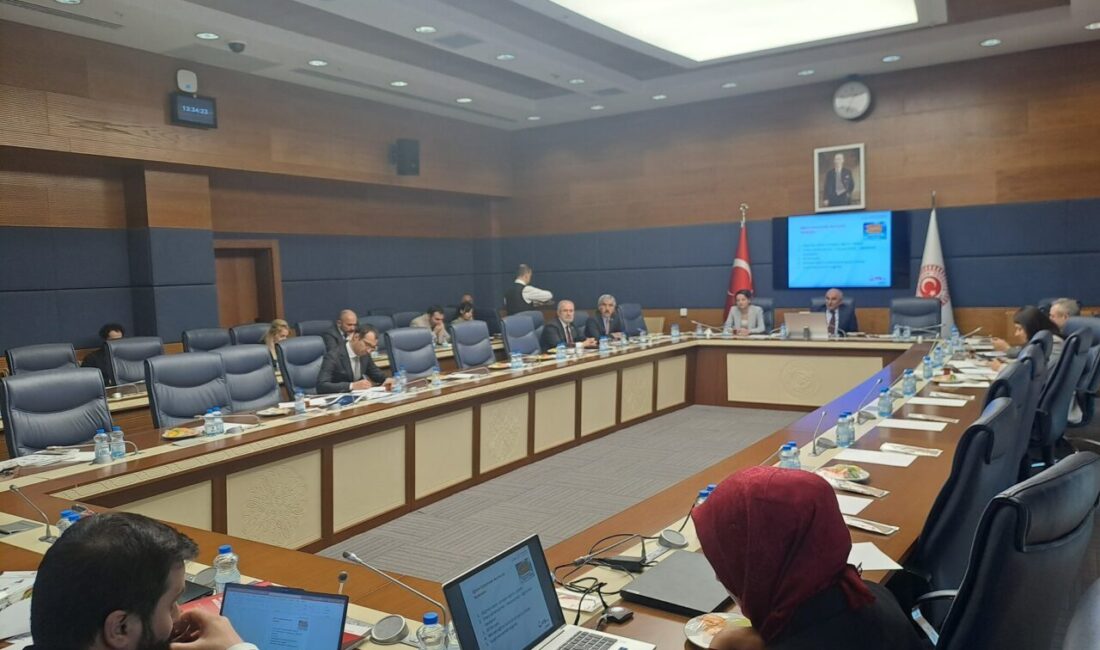 Aliekber METE/ ANKARA, – TÜRKİYE Büyük Millet Meclisi (TBMM) İnsan