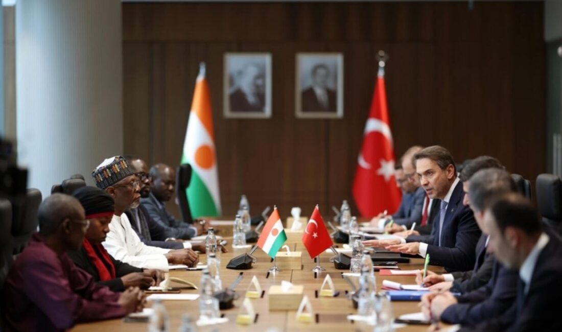 ANKARA, – ENERJİ ve Tabii Kaynaklar Bakanı Alparslan Bayraktar, Nijer