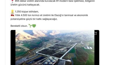 ANKARA, – TARIM ve Orman Bakanı İbrahim Yumaklı, “Elazığ’a 250