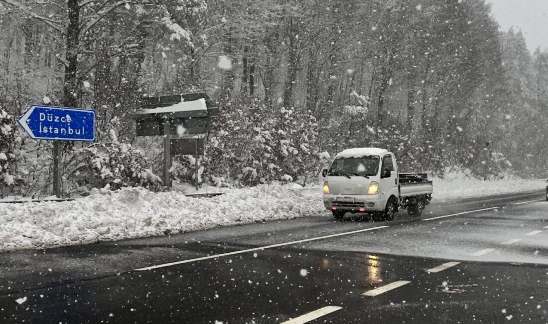 Mutlu YUCA-Zübeyde ÖZMEN/BOLU, – BOLU Dağı’nın D-100 kara yolu geçişinde