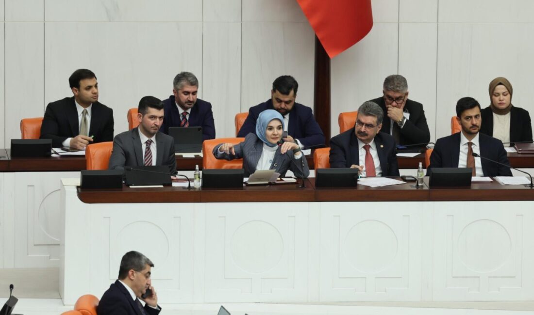 BAKAN GÖKTAŞ, SORULARI YANITLADI Genel Kurul’da bütçe teklifinin 11’nci maddesi