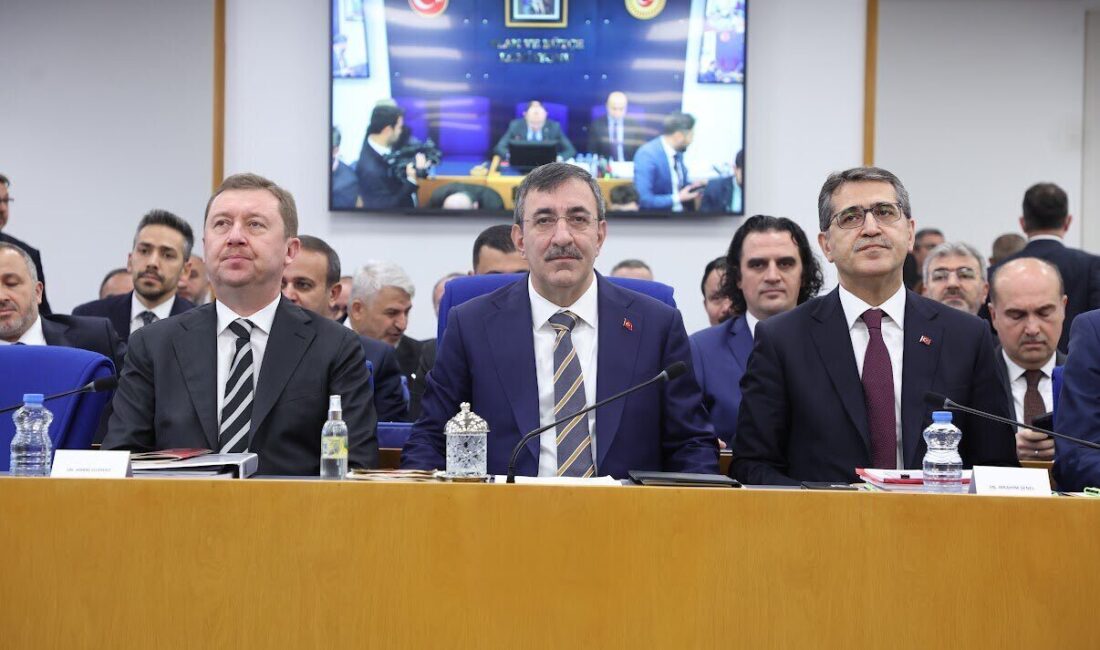 Aliekber METE/ANKARA, – CUMHURBAŞKANI Yardımcısı Cevdet Yılmaz, “2002 yılında 56