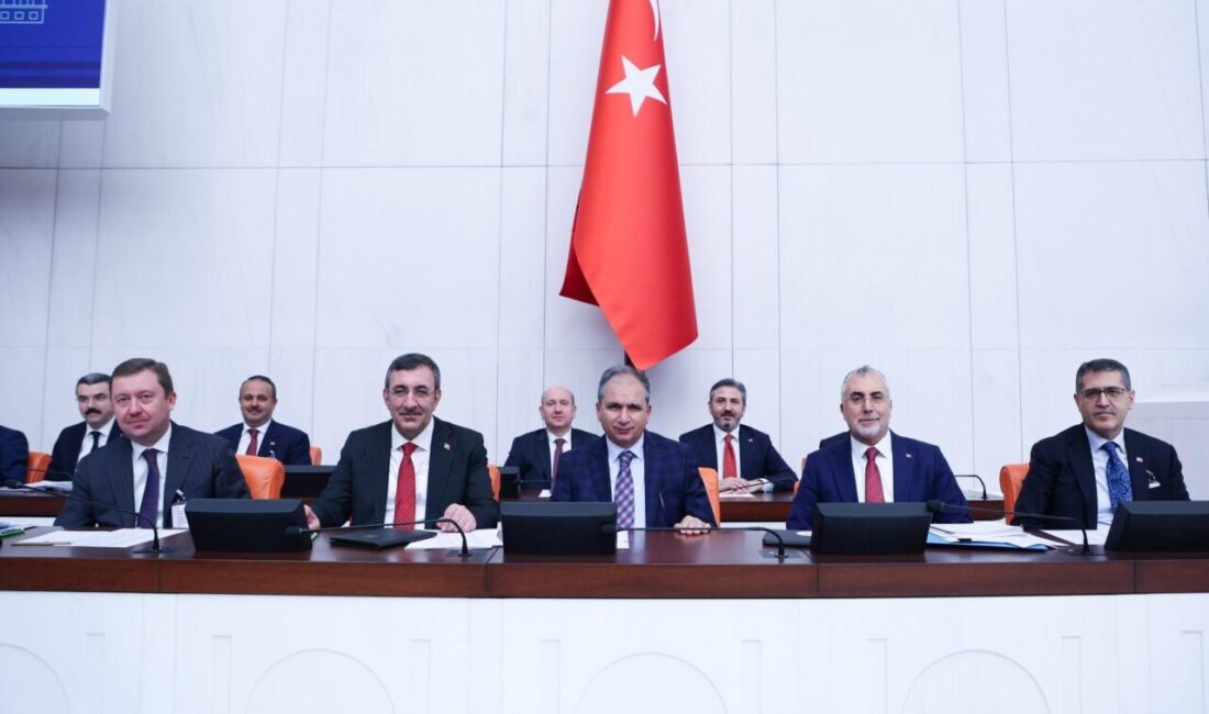 Aliekber METE/ ANKARA, – CUMHURBAŞKANI Yardımcısı Cevdet Yılmaz, yeni anayasa