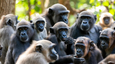 14 Aralık 2025 tarihinde Türkiye, diplomasi ve spor gündeminin yanı