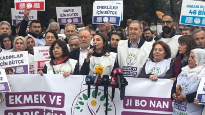 Aliekber METE-Mikail KARAMAN/ANKARA, – DEM Parti Eş Genel Başkanları Tülay