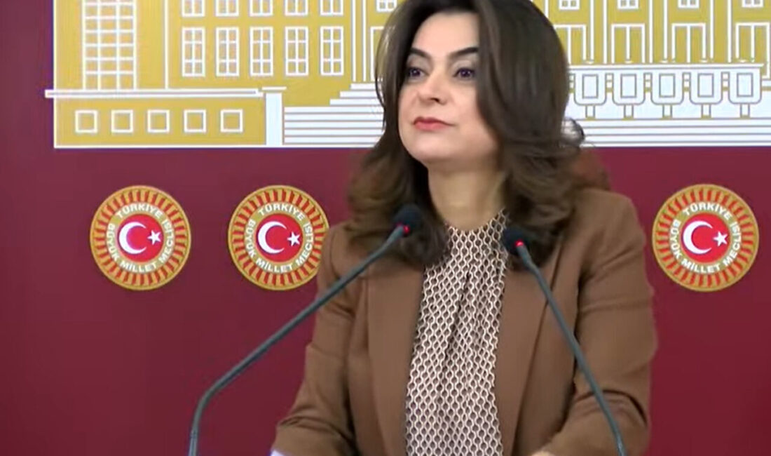 Aliekber METE/ANKARA, – DEM Parti Grup Başkanvekili Gülistan Kılıç Koçyiğit,