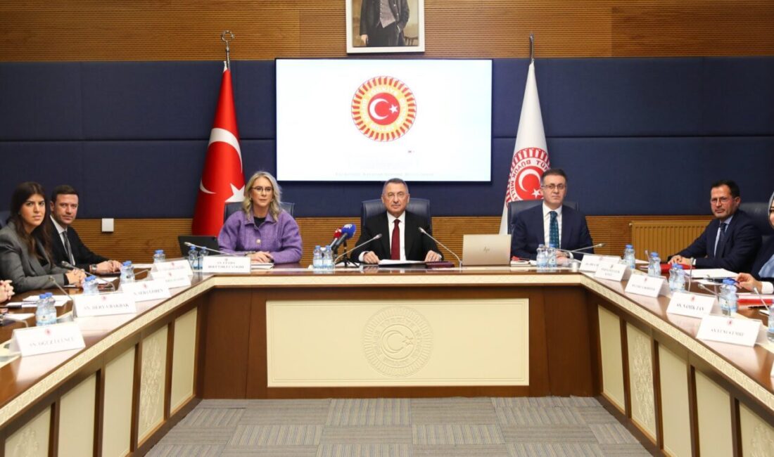 Aliekber METE/ ANKARA, – TBMM Dışişleri Komisyonu Başkanı Fuat Oktay,