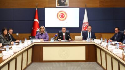 Aliekber METE/ ANKARA, – TBMM Dışişleri Komisyonu Başkanı Fuat Oktay,