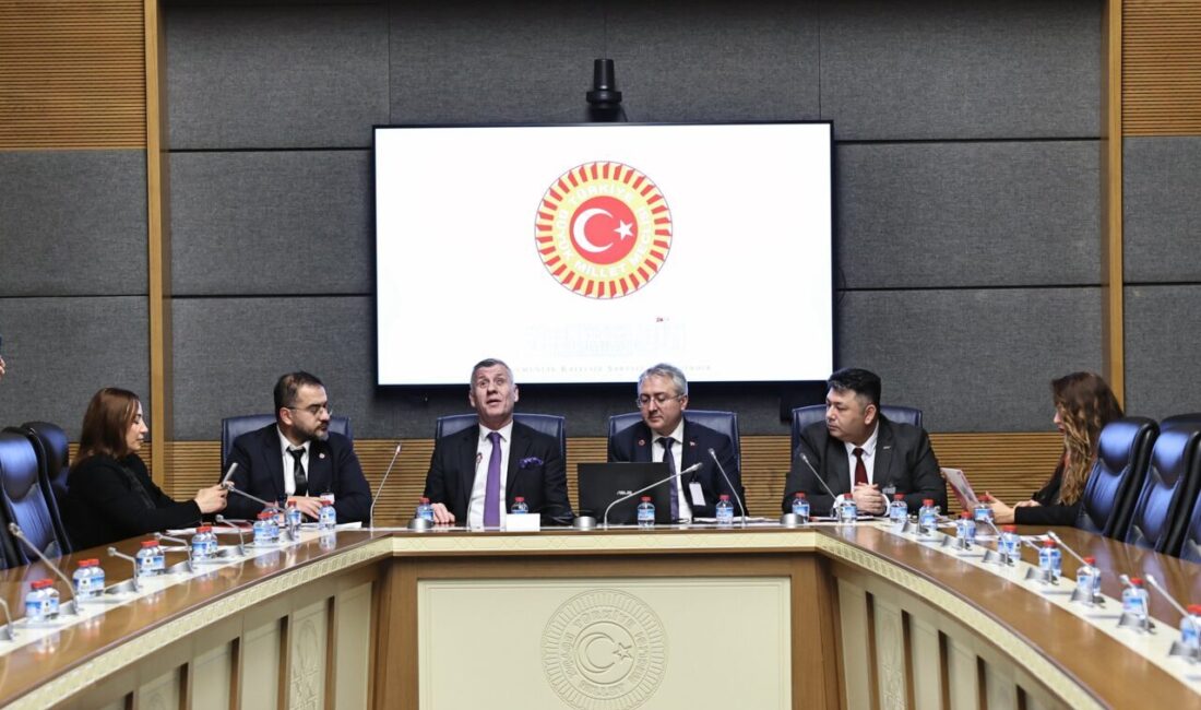 Aliekber METE/ ANKARA, – TBMM Engelli Bireylerin Sorunlarını Araştırma Komisyonu’nda