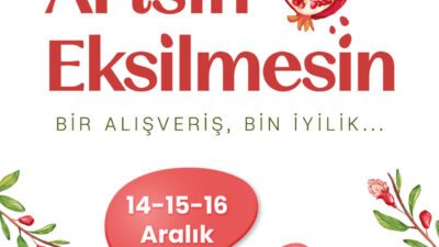 İSTANBUL, – Cumhurbaşkanı Recep Tayyip Erdoğan’ın eşi Emine Erdoğan, TOGEMDER