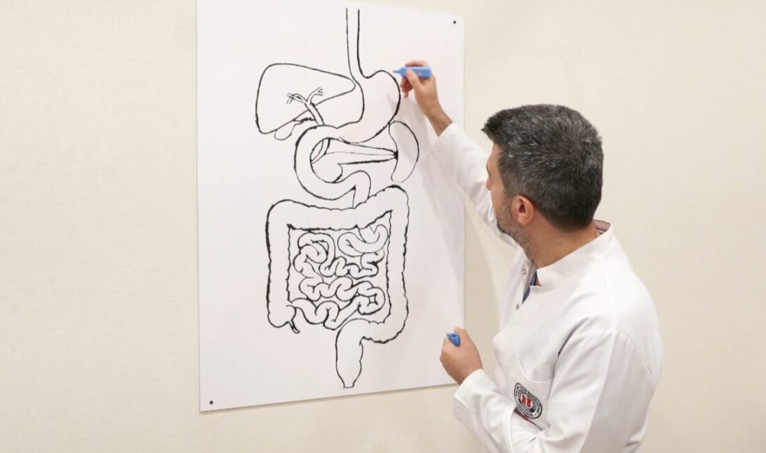 Melike USLU- Mehmet ALA/İSTANBUL, – OBEZİTENİN günümüzde en önemli sağlık