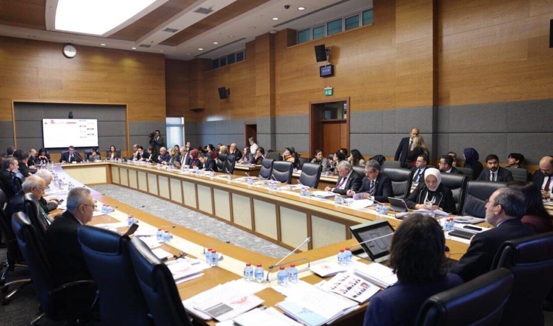 Aliekber METE/ ANKARA, – TÜRKİYE Büyük Millet Meclisi (TBMM) Engelli