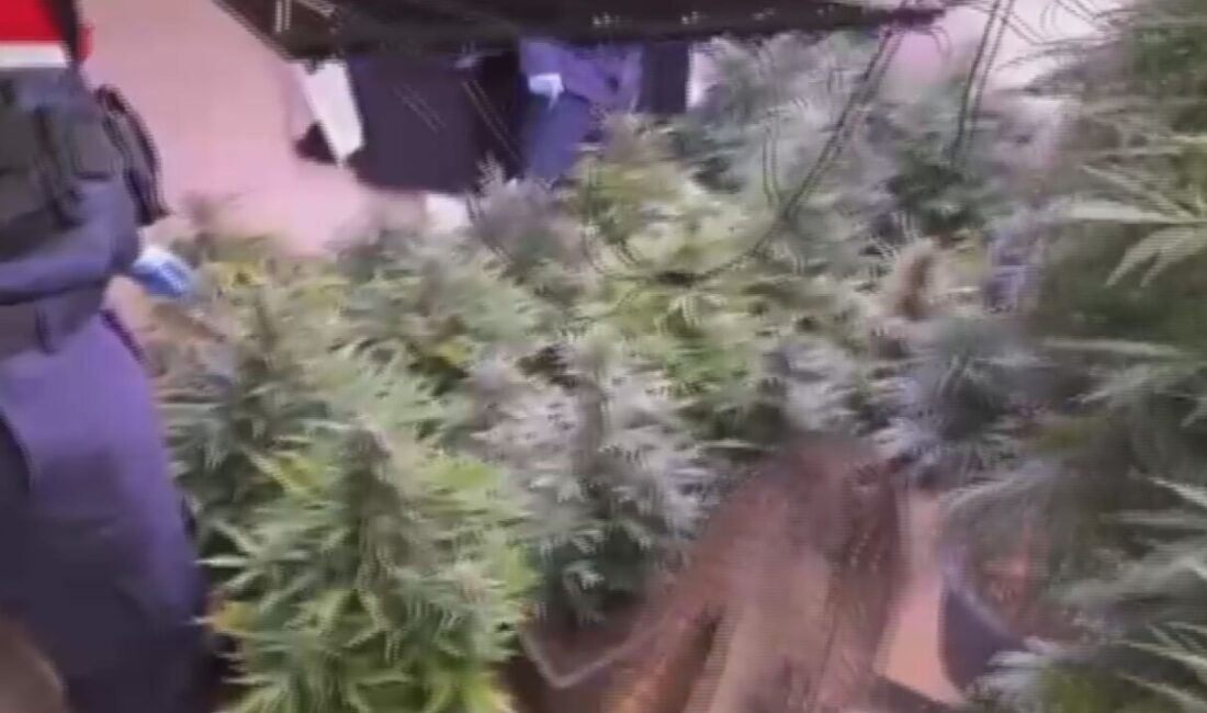 Taylan ERGÜN/İSTANBUL, – ARNAVUTKÖY’de evine kurduğu iklimlendirme sistemiyle uyuşturucu madde