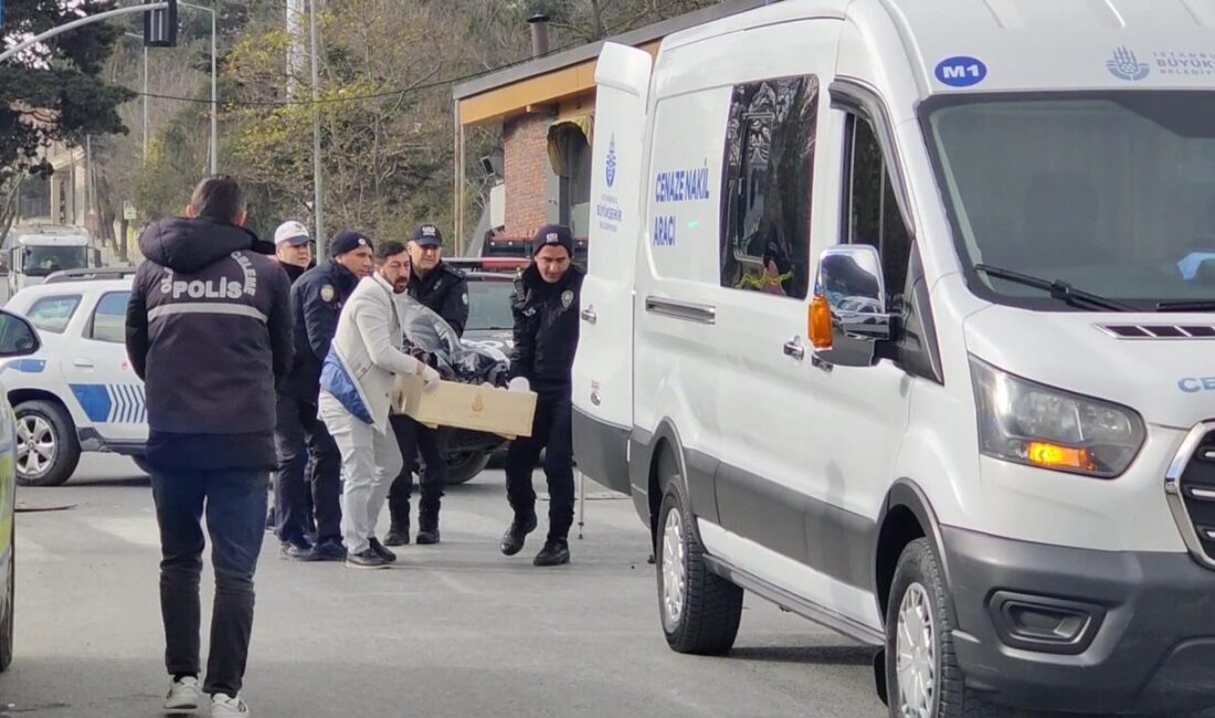 Emre KURT / İSTANBUL, – ARNAVUTKÖY’de hafriyat kamyonu, yaya geçidini