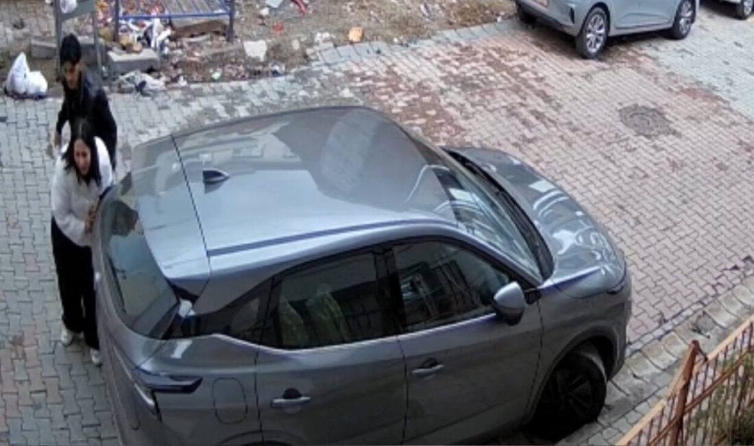 Doğan Can CESUR / İSTANBUL – KAĞITHANE’de Yağmur S.E. (21)