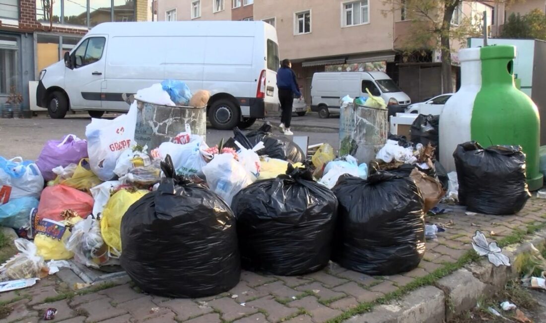 Murat SOLAK / İSTANBUL, – MALTEPE’de belediye iştirakine bağlı işçiler