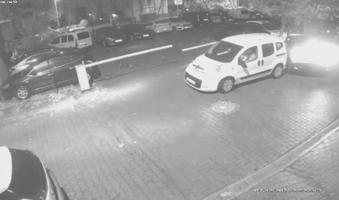 Mert ORDU – Leyla YILDIZ/ İSTANBUL, – PENDİK’te hafif ticari