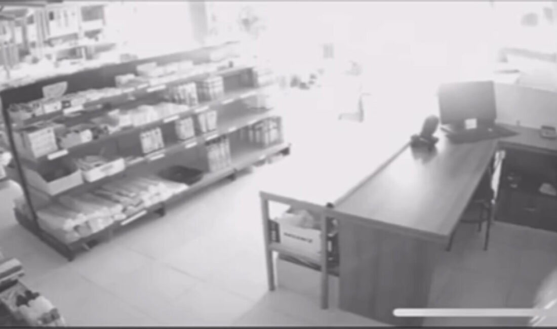 Doğan Can CESUR / İSTANBUL – ŞİLE’de Naim G.’nin (67)