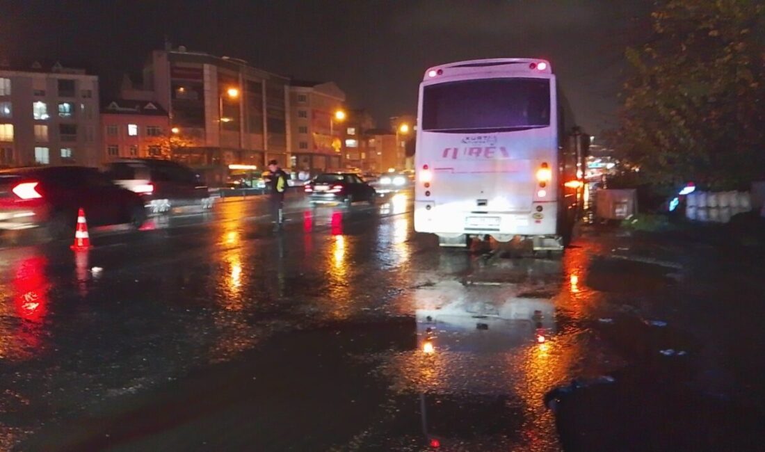 Uğur Samet AVCI/İSTANBUL, – SİLİVRİ D-100 Karayolu’nda yolun karşısına geçmek