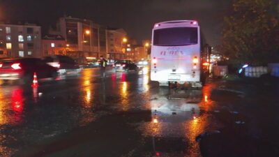 Uğur Samet AVCI/İSTANBUL, – SİLİVRİ D-100 Karayolu’nda yolun karşısına geçmek