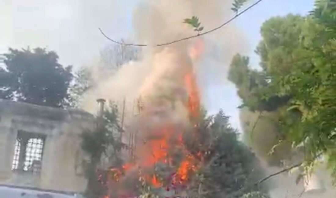 Baran AKKAYA-Utku Can SÖNMEZ/İSTANBUL, -FATİH’te Sultanahmet Camii’nin yanındaki restoranın bacasında