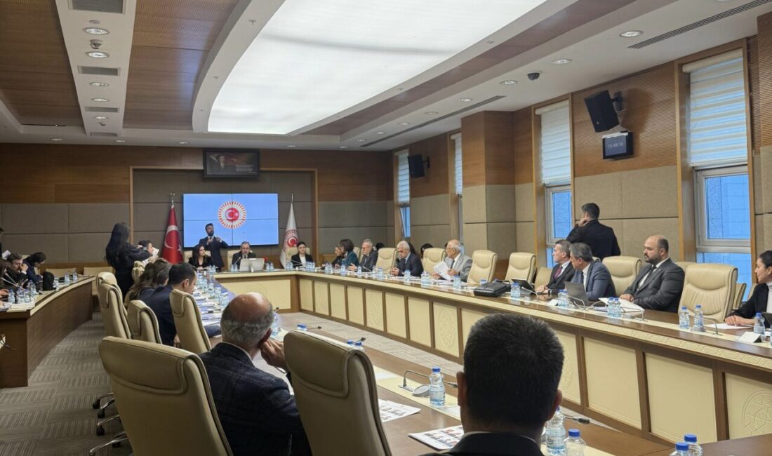 Aliekber METE/ ANKARA, – TBMM Engelli Bireylerin Sorunlarını Araştırma Komisyonu