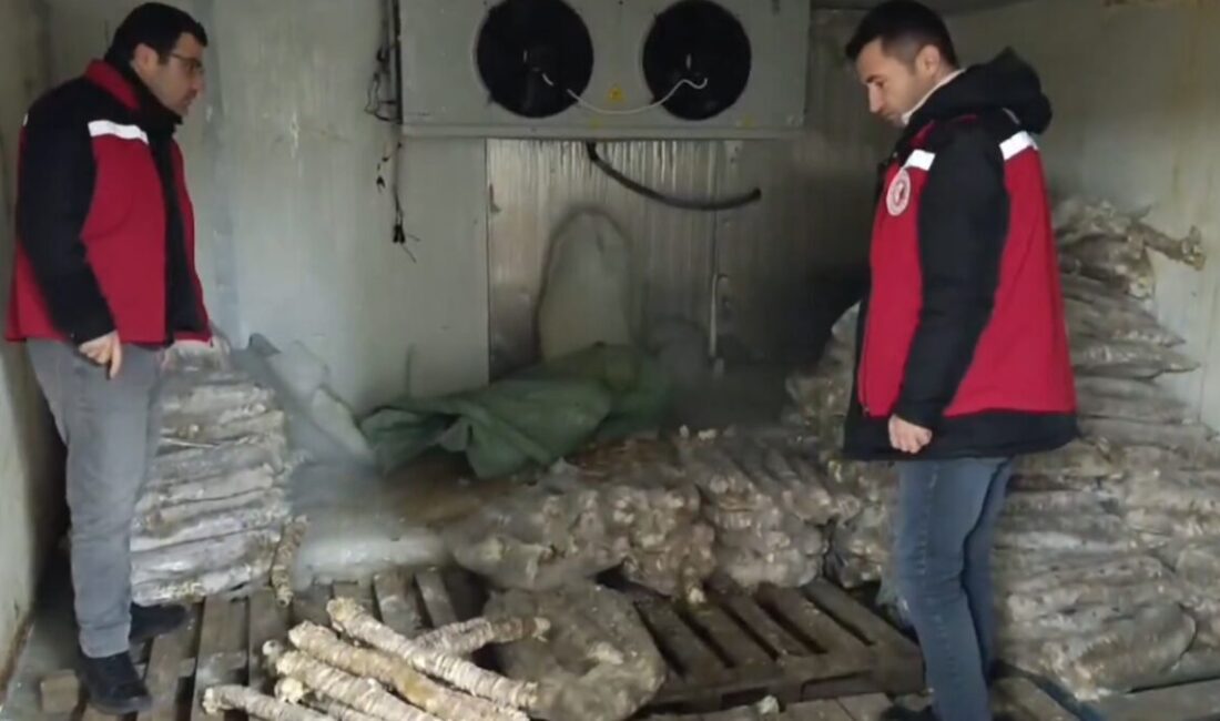 ANKARA, – TARIM ve Orman Bakanlığı, Manisa’da gerçekleştirilen gıda denetimlerinde,