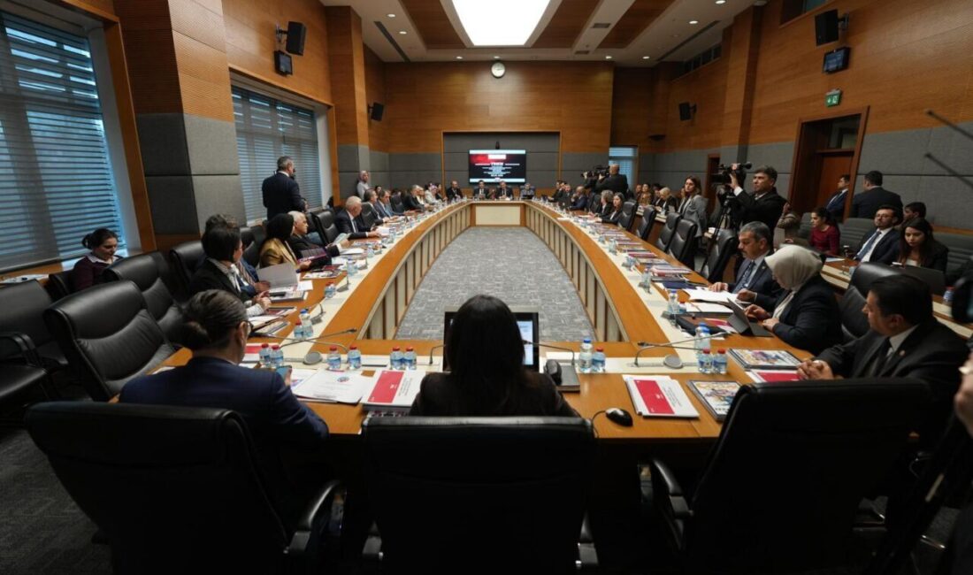 Aliekber METE/ ANKARA, – TBMM Engelli Bireylerin Sorunlarını Araştırma Komisyonu’nda